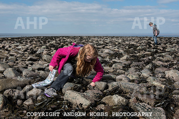 Somerset's Lowest Tide 200 years 028