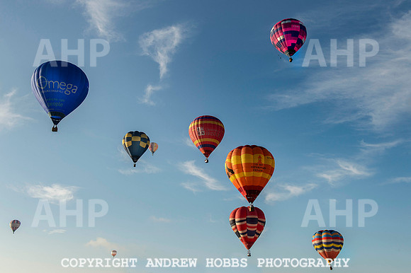Tiverton Balloon Festival 139