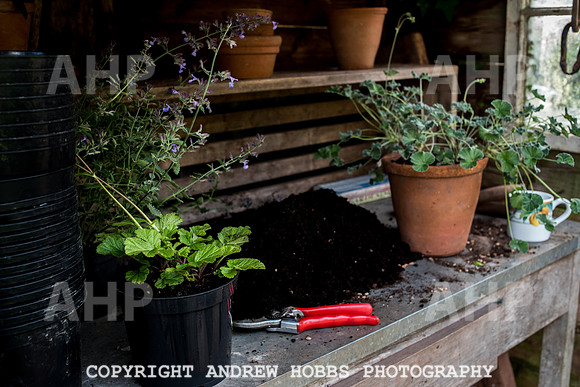 Vellacott Garden 2016-3686