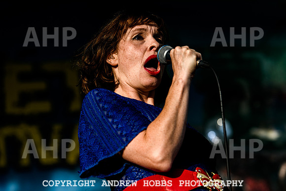 Skinny Lister - Watchet Music Festival 2022-8670