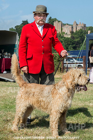 Dunster Country Fair 2014 015