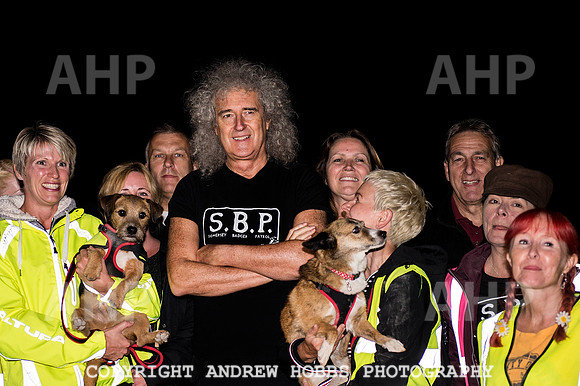 Brian May Badger Cull 2014 017