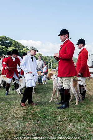 Dunster Country Fair 2014 003