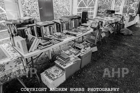 Wambrook Flower Show Centenary 192