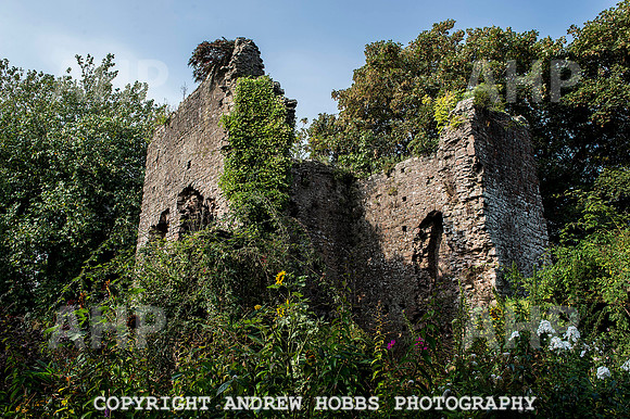 Tiverton Castle 006