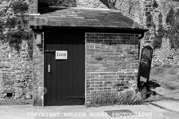 Wambrook Flower Show Centenary 068