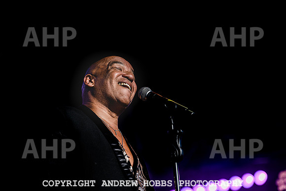 Odyssey - Watchet Music Festival 2022-8341