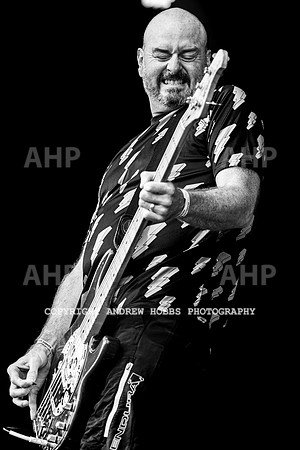 Ned's Atomic Dustbin - Beautiful Days 2022-9301