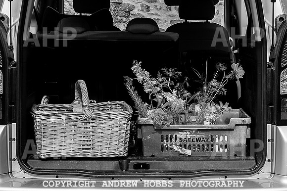 Wambrook Flower Show Centenary 124