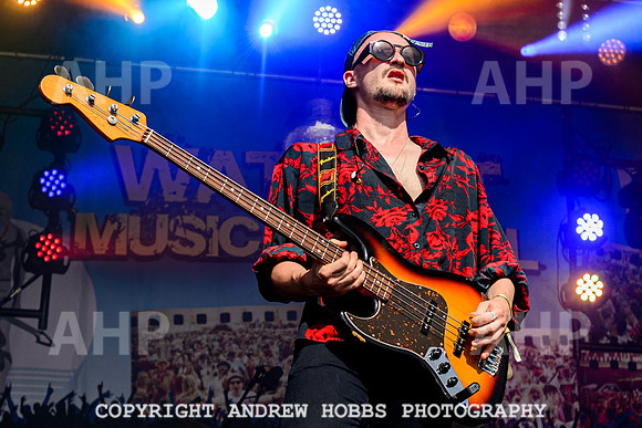 Pattern Pusher - Watchet Music Festival 2022-4245