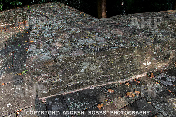 Tiverton Castle 008