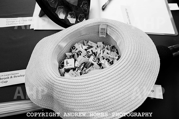 Wambrook Flower Show Centenary 277