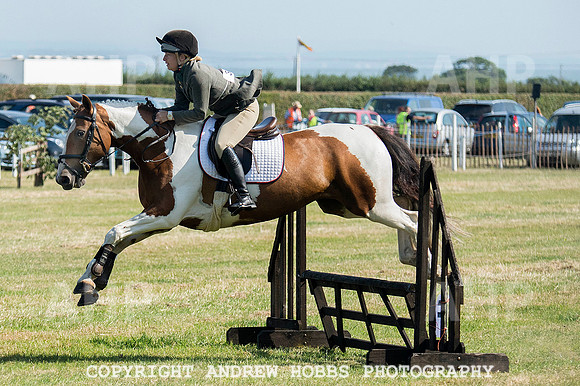 Dunster Country Fair 2014 006