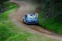 Somerset Stages Rally Chargot Woods_3272