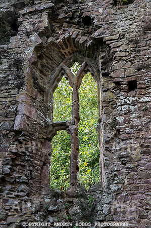 Tiverton Castle 010