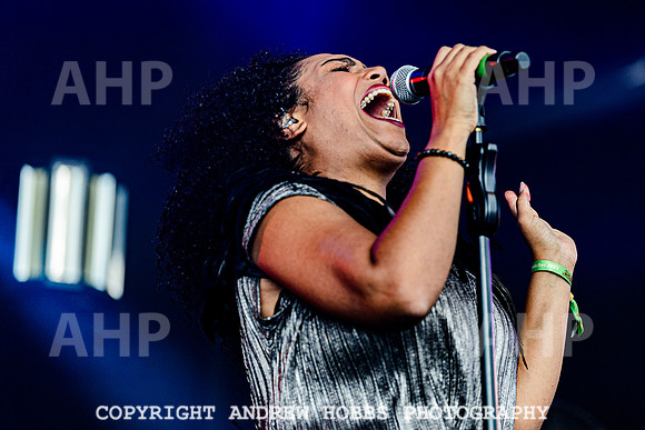 Dr and the Medics - Watchet Music Festival 2022-2944