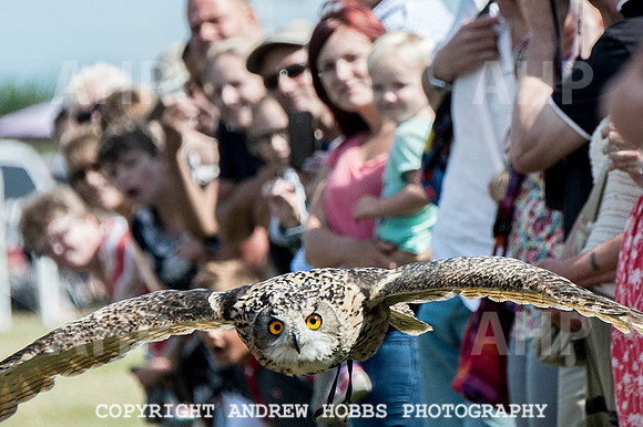 Dunster Country Fair 2014 024