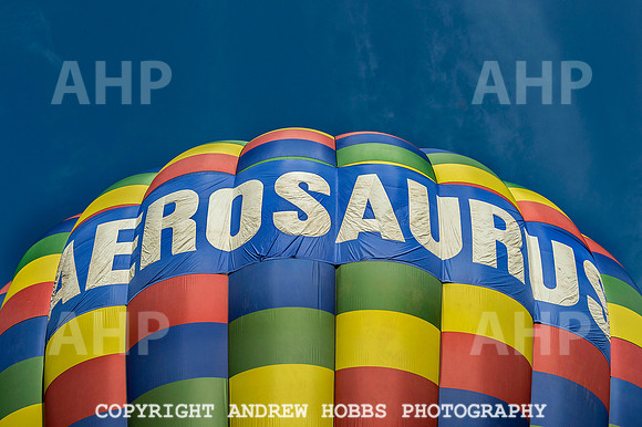 Tiverton Balloon Festival 055