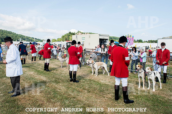 Dunster Country Fair 2014 007