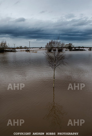 Flooding in Somerset, UK