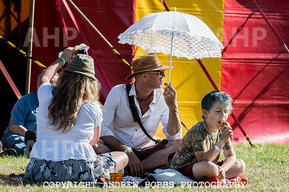 Watchet Festival 2016-5540