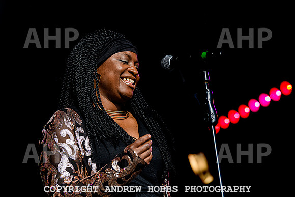 Odyssey - Watchet Music Festival 2022-8460