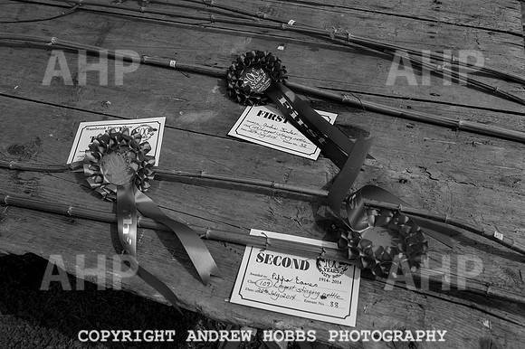 Wambrook Flower Show Centenary 234
