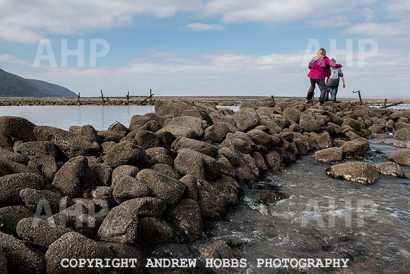 Somerset's Lowest Tide 200 years 022