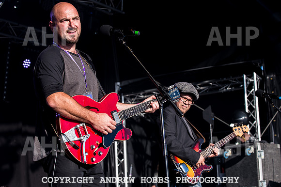 Watchet Festival 2016-5576