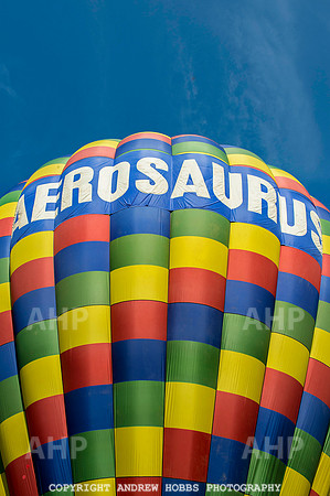 Tiverton Balloon Festival 054