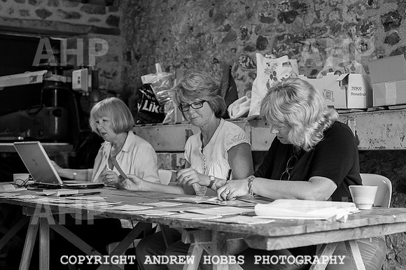 Wambrook Flower Show Centenary 173