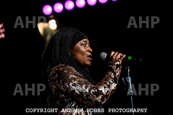 Odyssey - Watchet Music Festival 2022-8405