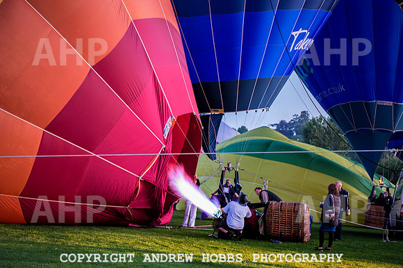 Tiverton Balloon Festival 118