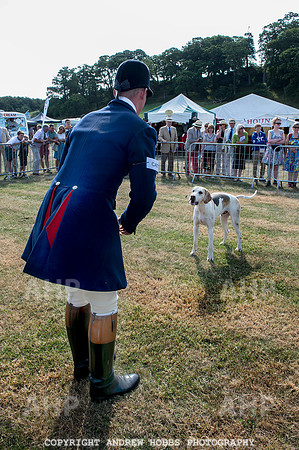 Dunster Country Fair 2014 002