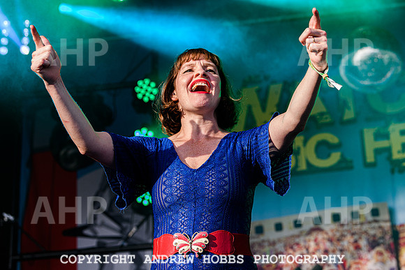 Skinny Lister - Watchet Music Festival 2022-8566