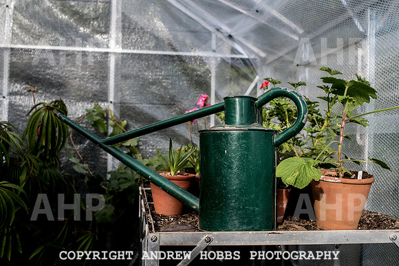 Vellacott Garden 2016-3596