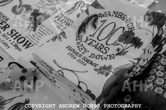 Wambrook Flower Show Centenary 193