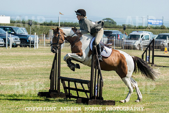 Dunster Country Fair 2014 005