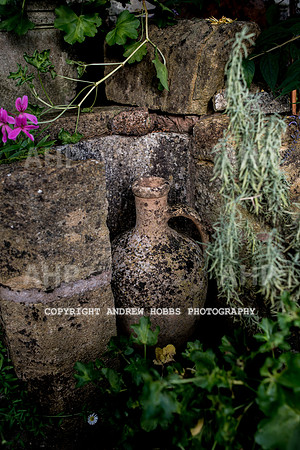 Vellacott Garden 2016-3613