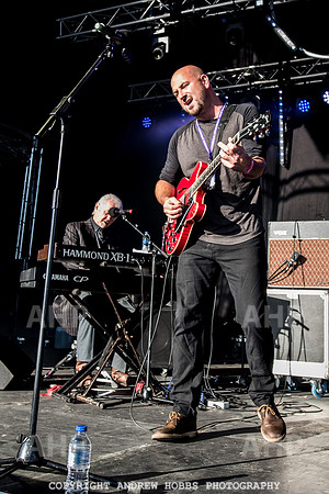 Watchet Festival 2016-1764
