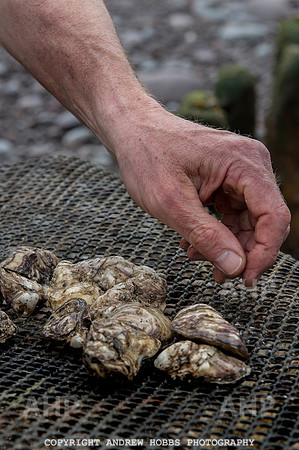 Porlock Oyster Beds 003