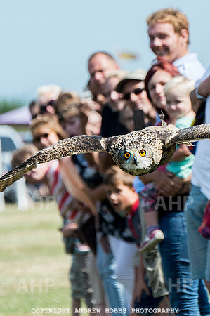 Dunster Country Fair 2014 023