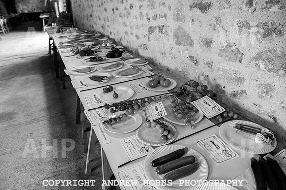 Wambrook Flower Show Centenary 199