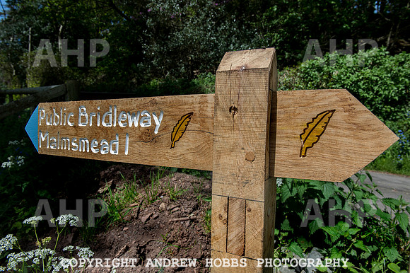 Coleridge Way opening 10