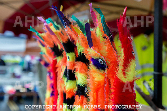 Bampton Fair 2014 005