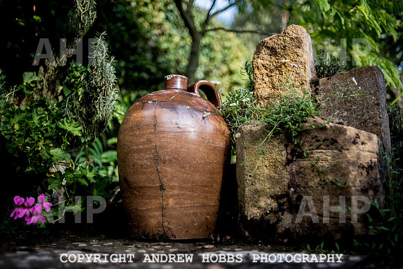 Vellacott Garden 2016-3610
