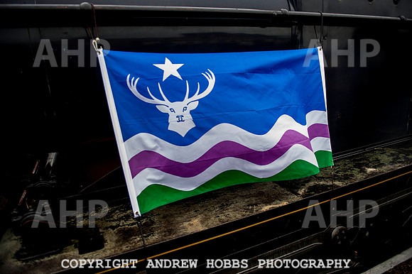 Exmoor Flag002