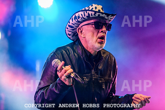 Alabama 3 - Watchet Music Festival 2022-8889