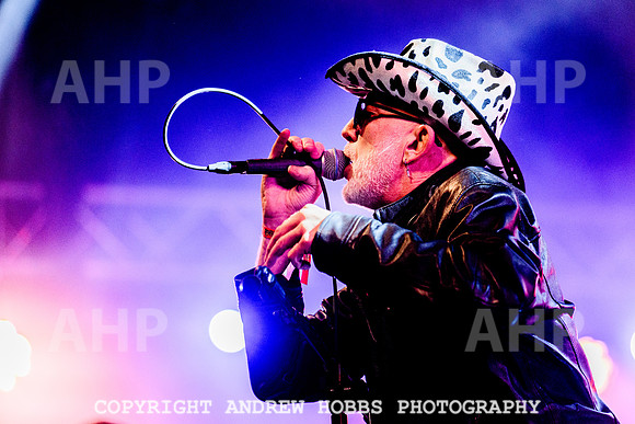Alabama 3 - Watchet Music Festival 2022-8981