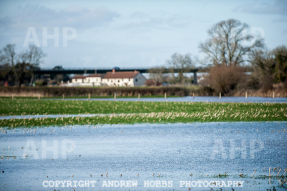 Flooding in Somerset, UK